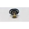 CCR Termostat 82�C Hyundai Elantra 2011 ve Sonras� (25500-2B000)
