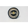 Master Part Termostat Kia Sportage (25500-2B000)