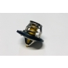Master Part Termostat Hyundai iX35 (25500-2B000)