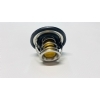 Master Part Termostat Hyundai iX35 (25500-2B000)